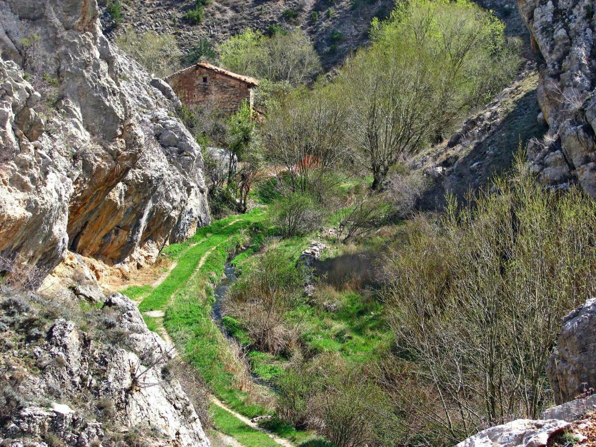 La Massana Apartment Alcala De La Selva